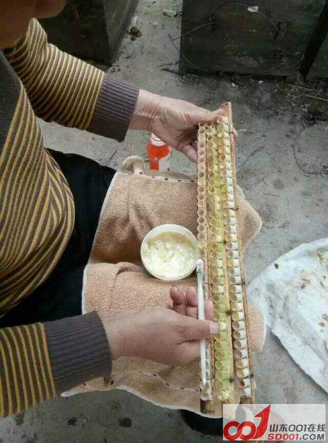 ��������ȡ������