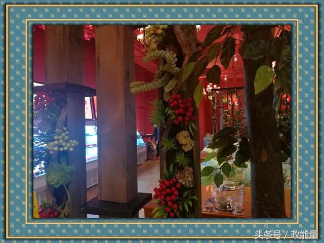 509f0003c8aabd6fd41e