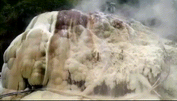 50a700012a1629311ead