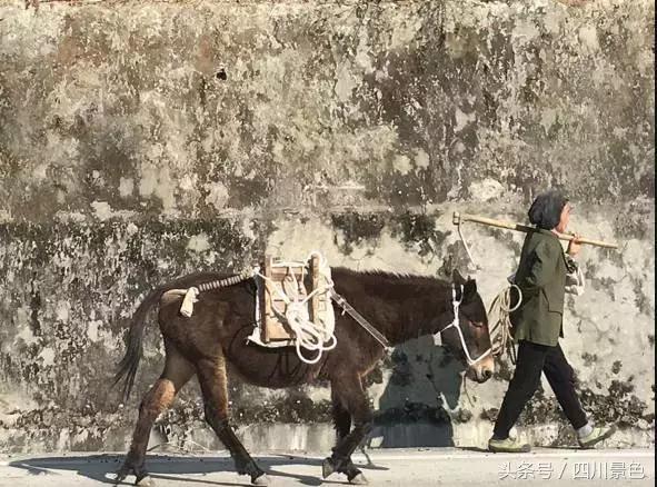 50a90000c2283a55d13a