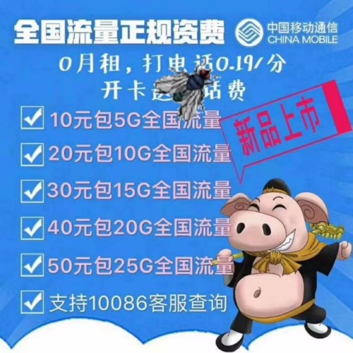 【移动真正0月租亲民卡10包5G全国流量】2元