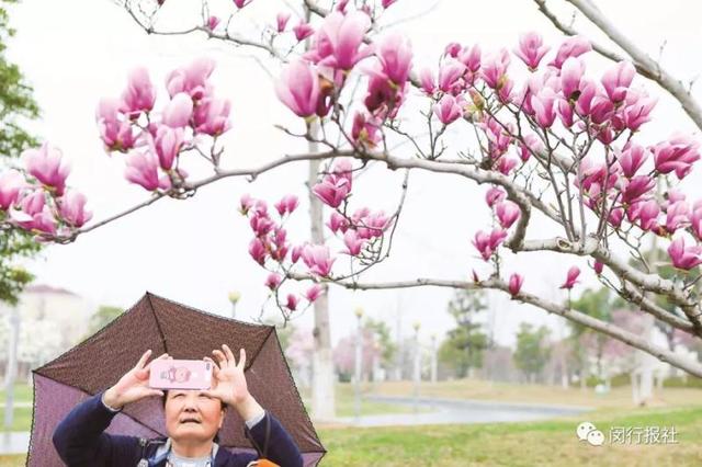 ���� | �·��֣������������վ�ھ����Ÿ���5��O�Ĵ�԰����-8.jpg