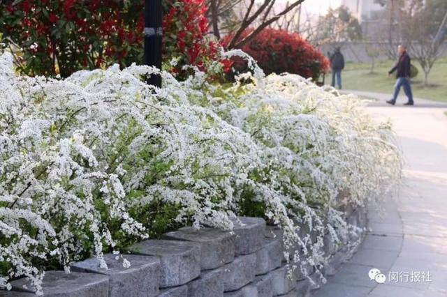 ���� | �·��֣������������վ�ھ����Ÿ���5��O�Ĵ�԰����-9.jpg