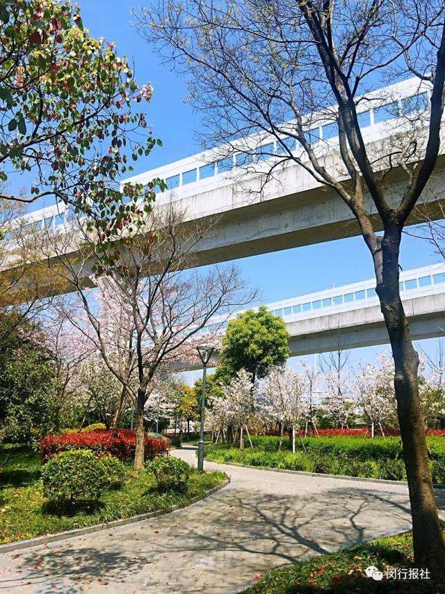 ���� | �·��֣������������վ�ھ����Ÿ���5��O�Ĵ�԰����-12.jpg