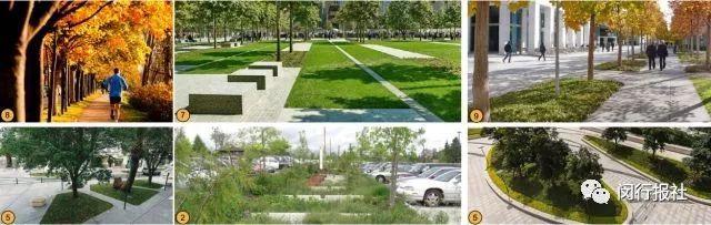 ���� | �·��֣������������վ�ھ����Ÿ���5��O�Ĵ�԰����-4.jpg