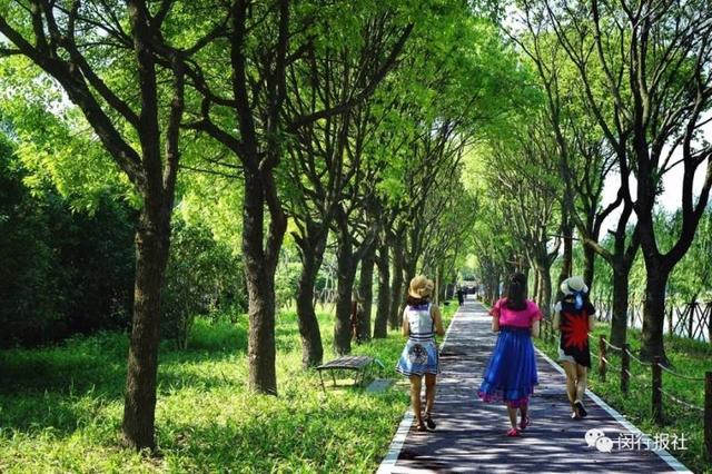 ���� | �·��֣������������վ�ھ����Ÿ���5��O�Ĵ�԰����-16.jpg