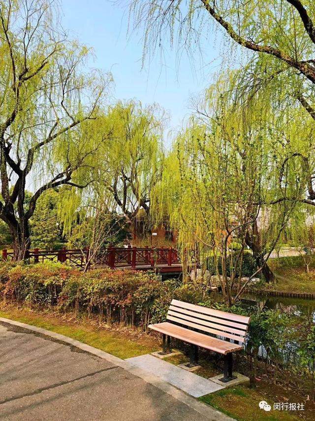 ���� | �·��֣������������վ�ھ����Ÿ���5��O�Ĵ�԰����-14.jpg