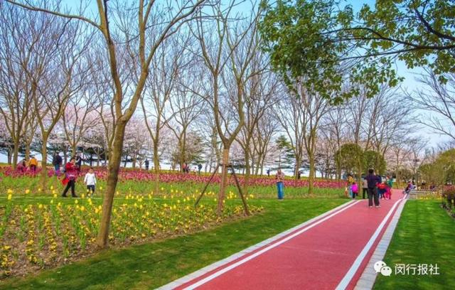 ���� | �·��֣������������վ�ھ����Ÿ���5��O�Ĵ�԰����-13.jpg