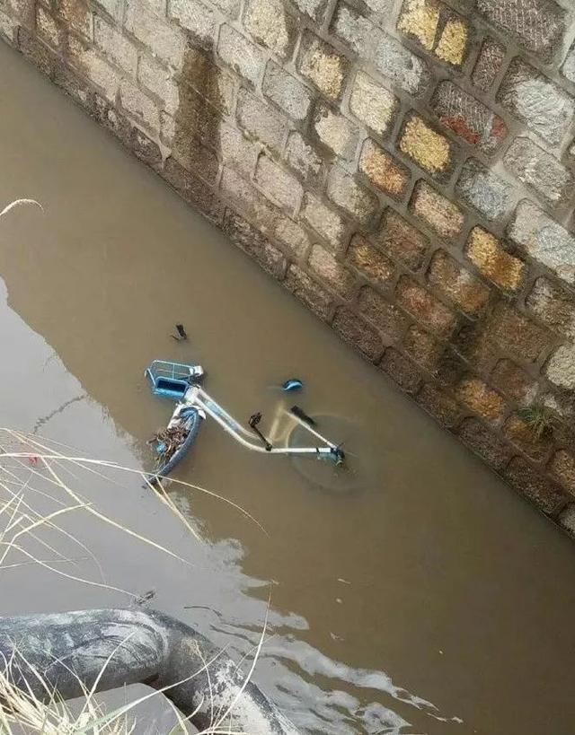 ���޹������������������⡰���̡� �ǹ��޵���Ƿ�ỹ����������̫�ͣ�-7.jpg