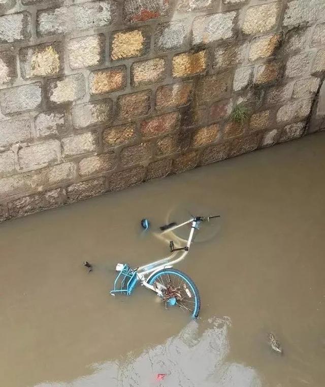 ���޹������������������⡰���̡� �ǹ��޵���Ƿ�ỹ����������̫�ͣ�-6.jpg