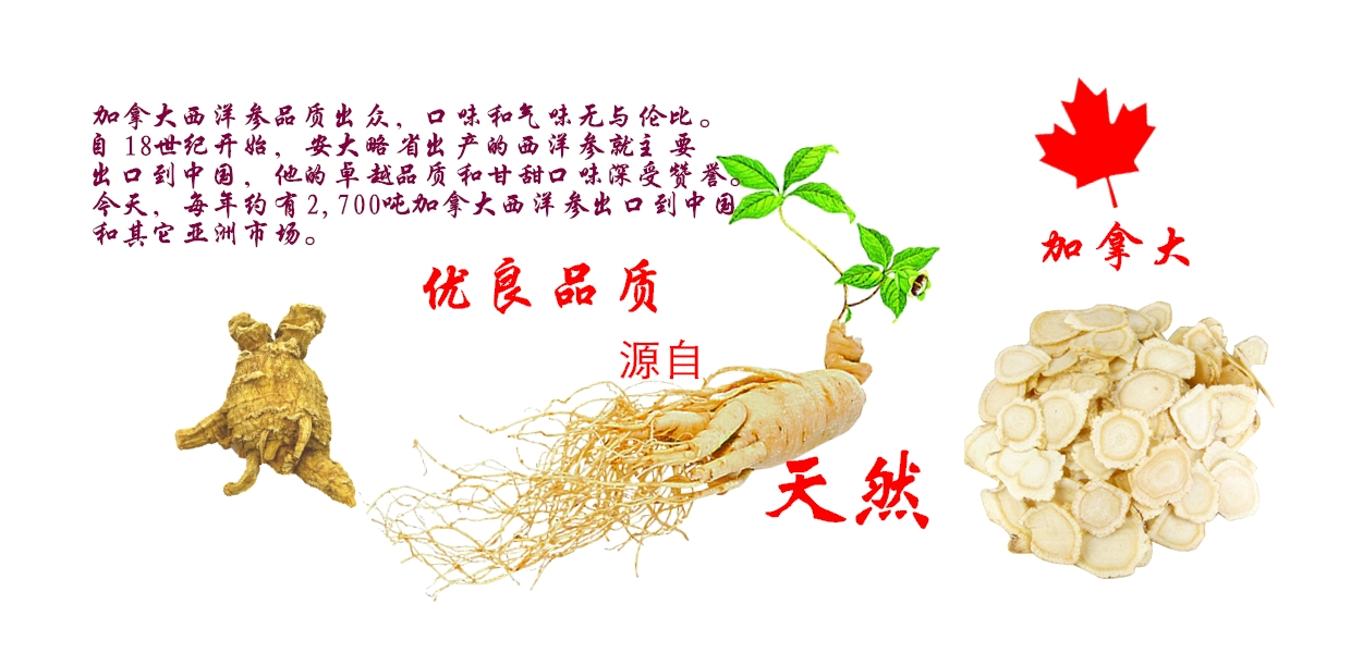 �ҵ��Ź���Ʒ