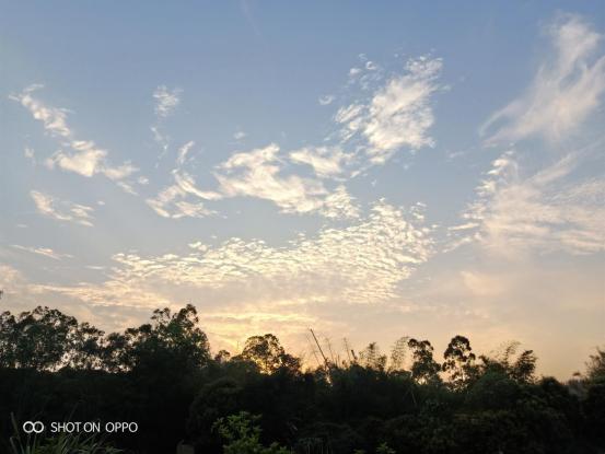 �������ѡ���ֻ���OPPO R15���ֹ�Ч�ĳ�Ư����Ƭ-5.jpg