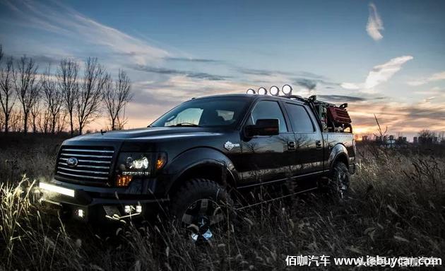 ��ף����115���� F-150����-��άɭ���������-4.jpg
