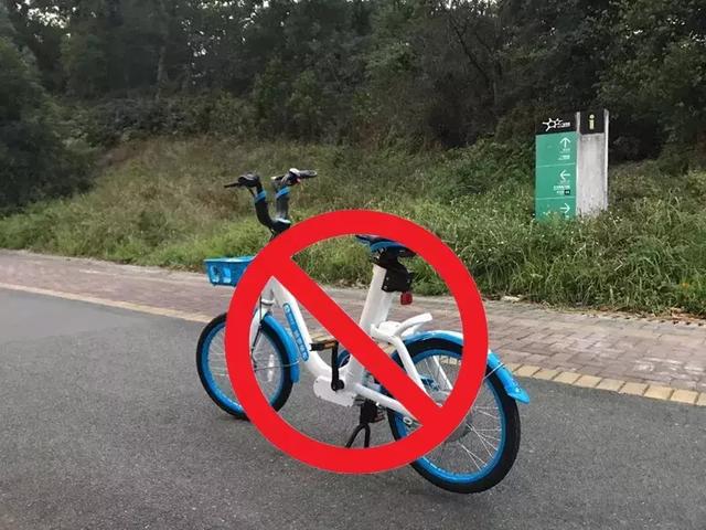 ��ƽ8����������·���� | �������綯�����ֽ�ͷ����ƽ�˲�Ҫ�-11.jpg