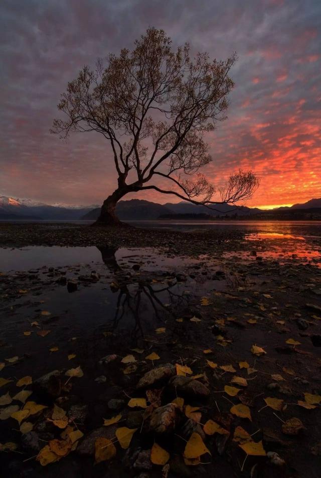 ר�ӡ����񡱵� 4 ������Ӱ����������ǹ����-15.jpg