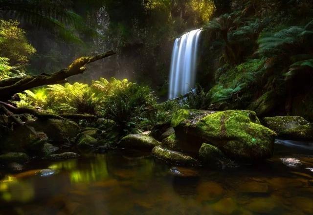 ר�ӡ����񡱵� 4 ������Ӱ����������ǹ����-13.jpg