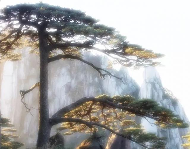 ר�ӡ����񡱵� 4 ������Ӱ����������ǹ����-17.jpg