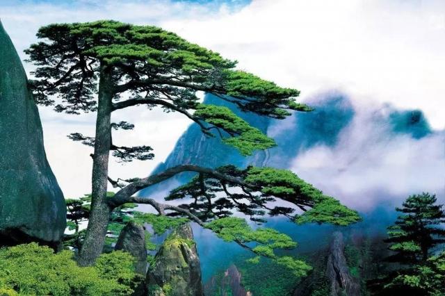 ר�ӡ����񡱵� 4 ������Ӱ����������ǹ����-16.jpg