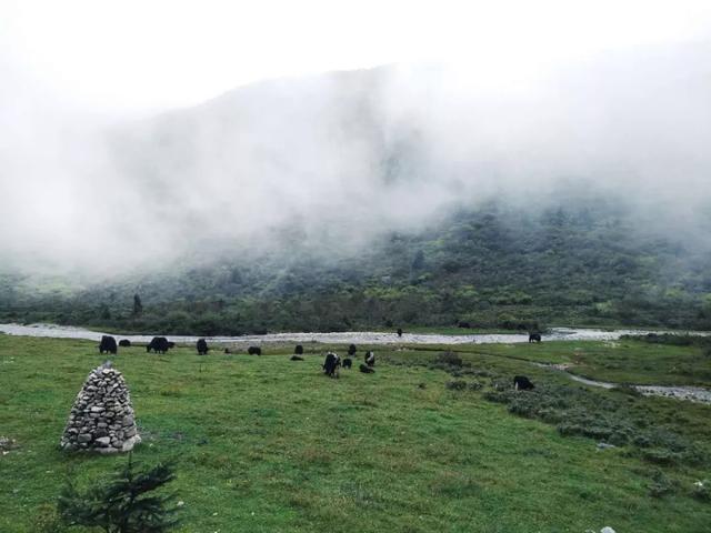 Day 5 һֻ����Գ�Ĵ�������ֱ��-5.jpg