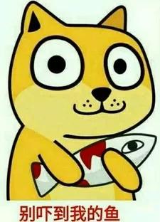 Day 5 һֻ����Գ�Ĵ�������ֱ��-26.jpg