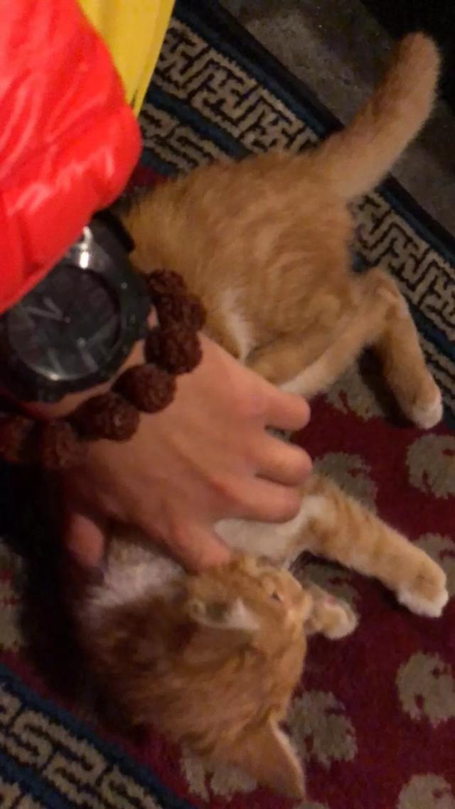 Day 5 һֻ����Գ�Ĵ�������ֱ��-27.jpg