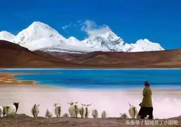 ֪ͨ������ ���������������ء��Ż����߳�¯��-16.jpg