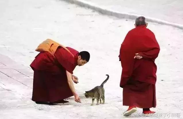 ֪ͨ������ ���������������ء��Ż����߳�¯��-13.jpg