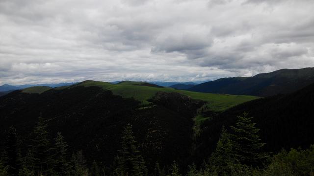 ����318�ĵ�7�� �÷羰��·��-12.jpg