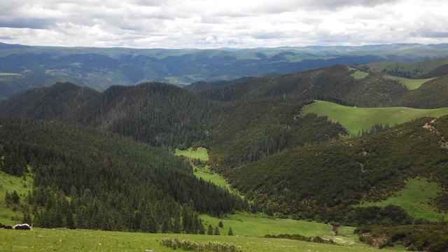 ����318�ĵ�7�� �÷羰��·��-22.jpg