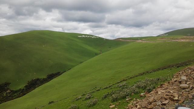 ����318�ĵ�7�� �÷羰��·��-21.jpg