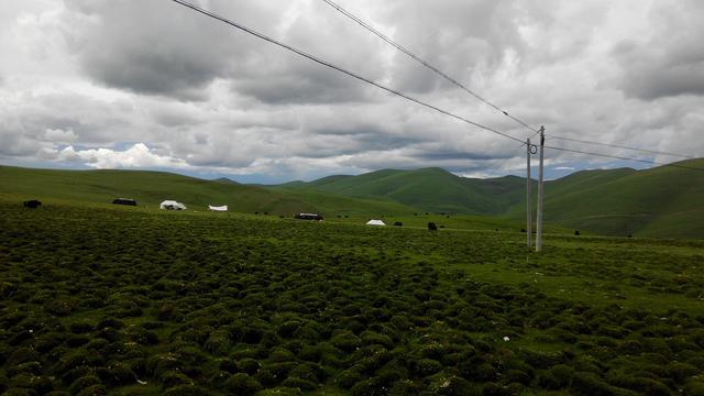 ����318�ĵ�7�� �÷羰��·��-62.jpg