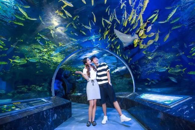 成都海昌极地海洋公园好不好耍