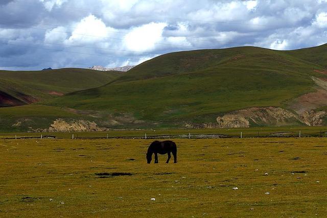 ��318������� ���������ɶ� ȫ������317���������ر��ߣ�-19.jpg