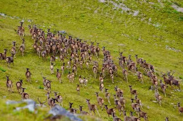 ����������͡�����֮�� Ʒ������֮�� �������֮Դ-7.jpg