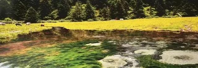 ����������͡�����֮�� Ʒ������֮�� �������֮Դ-20.jpg