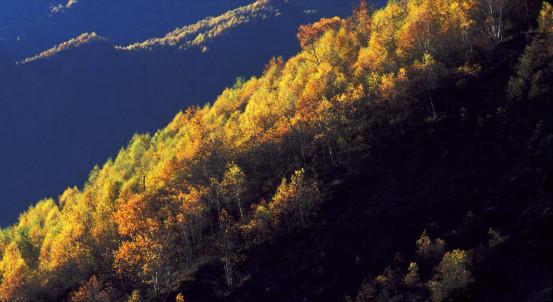 ����������͡�����֮�� Ʒ������֮�� �������֮Դ-11.jpg