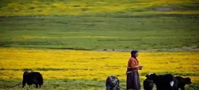 ����������͡�����֮�� Ʒ������֮�� �������֮Դ-15.jpg