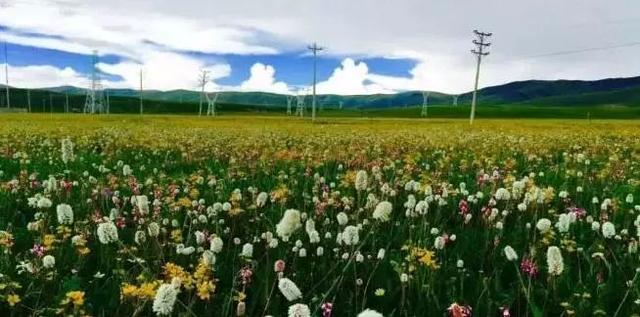 ����������͡�����֮�� Ʒ������֮�� �������֮Դ-14.jpg