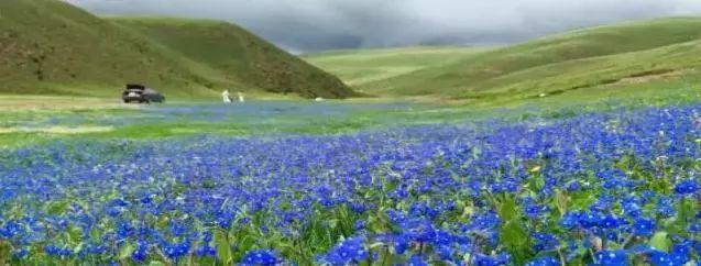 ����������͡�����֮�� Ʒ������֮�� �������֮Դ-13.jpg