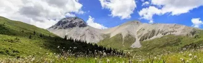 ����������͡�����֮�� Ʒ������֮�� �������֮Դ-19.jpg