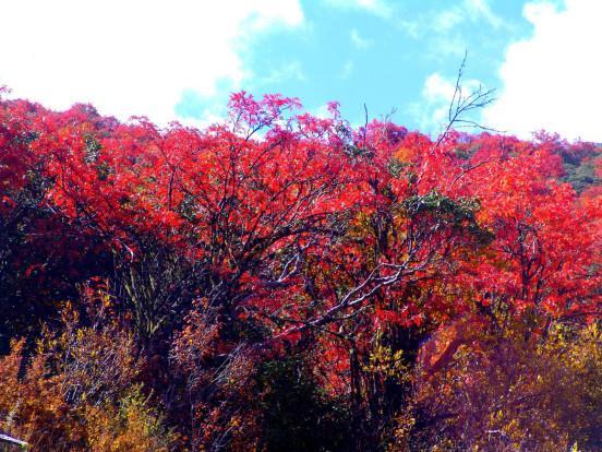 ����������͡�����֮�� Ʒ������֮�� �������֮Դ-10.jpg