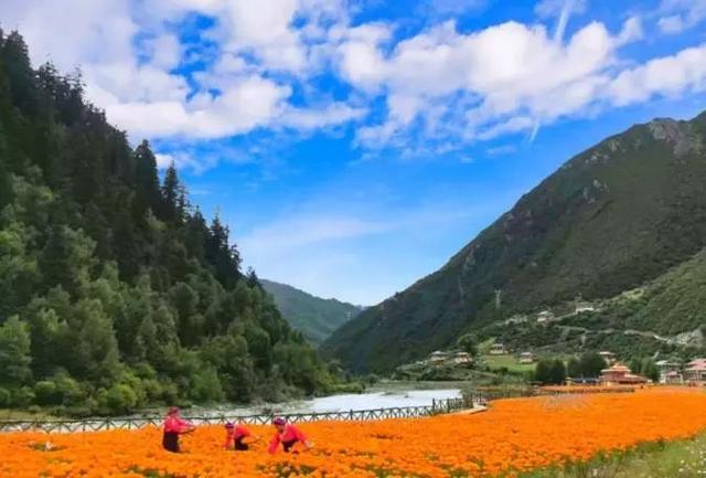 ����������͡�����֮�� Ʒ������֮�� �������֮Դ-39.jpg