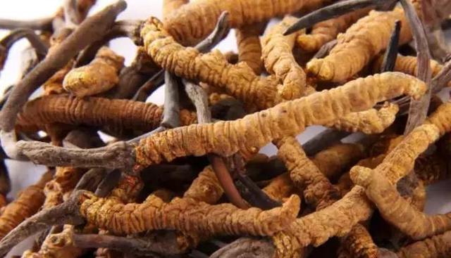 ����������͡�����֮�� Ʒ������֮�� �������֮Դ-33.jpg