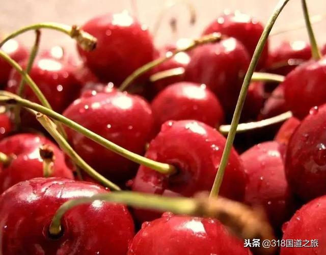 G318 Ŀ�ĵ�·����򶨡�����Ŀ�ĺ�ɫ�Ļ�����-38.jpg