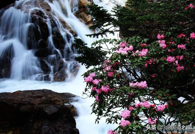 G318 Ŀ�ĵ�·����򶨡�����Ŀ�ĺ�ɫ�Ļ�����-51.jpg