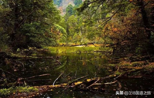 G318 Ŀ�ĵ�·����򶨡�����Ŀ�ĺ�ɫ�Ļ�����-58.jpg