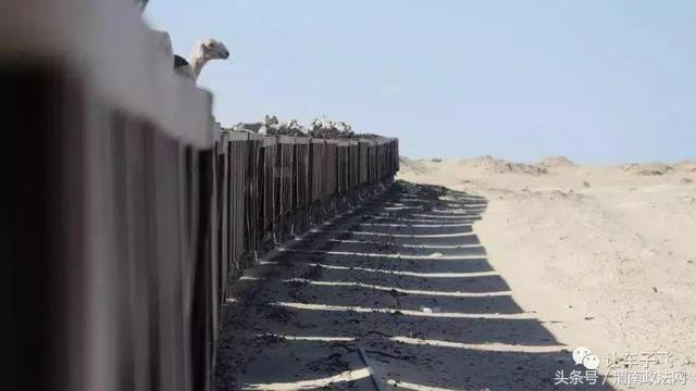 ����1.6���� ��Ϊ���޴�ׯ��ˮ���ͳ��վ-5.jpg