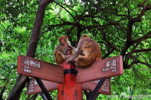 2018 �°�����������ʱ�����һ��Ҫ�պã�-23.jpg