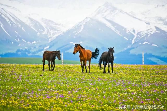 2018 �°�����������ʱ�����һ��Ҫ�պã�-28.jpg