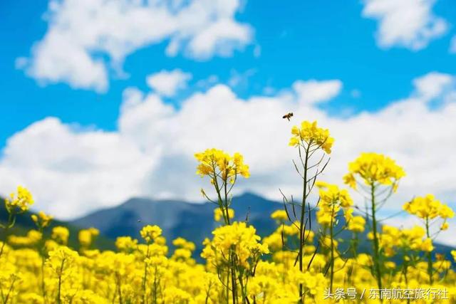 2018 �°�����������ʱ�����һ��Ҫ�պã�-33.jpg